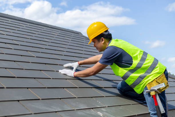 Best Local Roofing Companies  in Palmer, AK