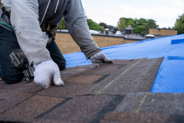 Best Slate Roofing Contractor  in Palmer, AK