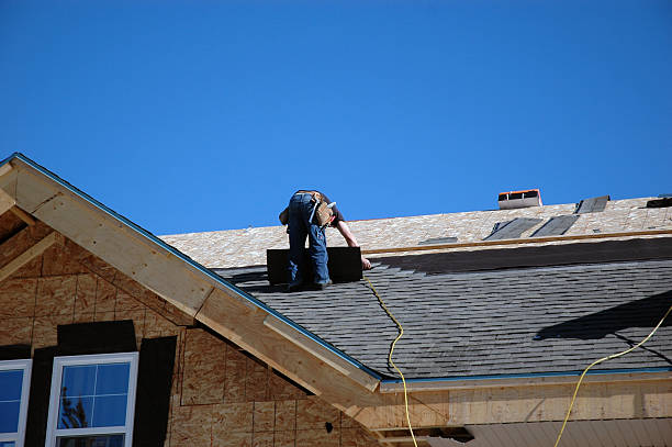 Best Shingle Roofing Installation  in Palmer, AK