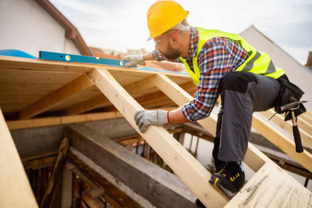Best Roof Gutter Cleaning  in Palmer, AK