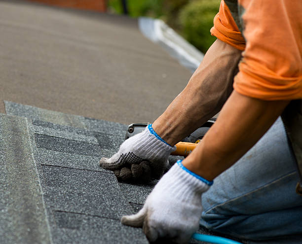 Trusted Palmer, AK Roofing Contractor Experts