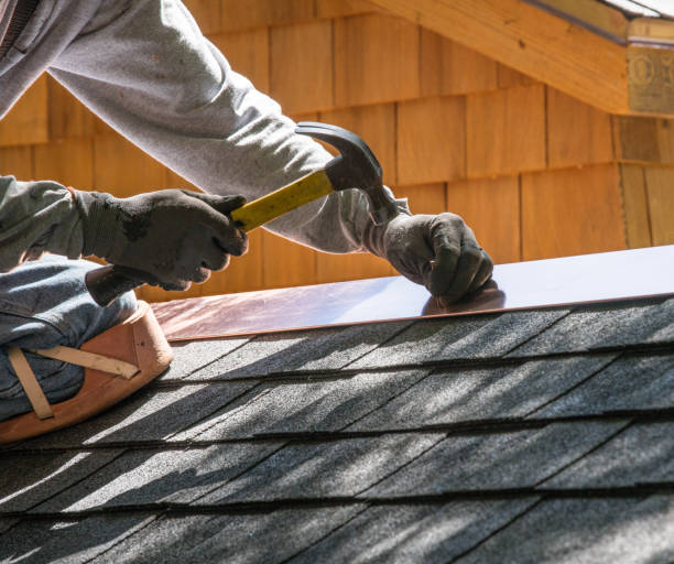 Best Gutter Installation and Roofing  in Palmer, AK